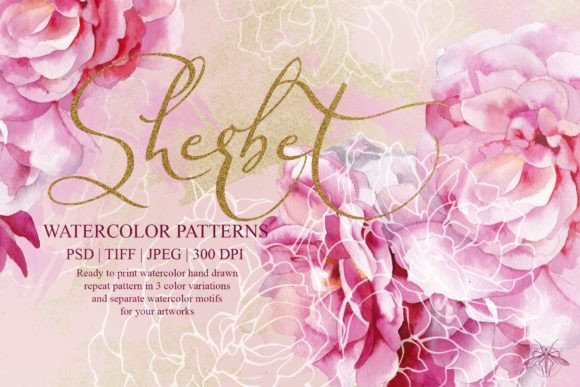 Download Sherbet | Watercolor Roses Patterns - Premium Resources